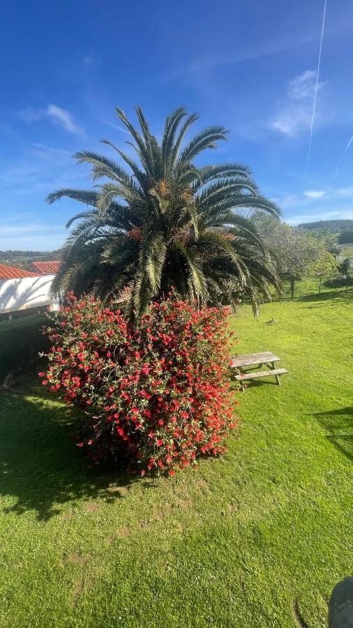 Appartamento Elrosal2 Cudillero Esterno foto