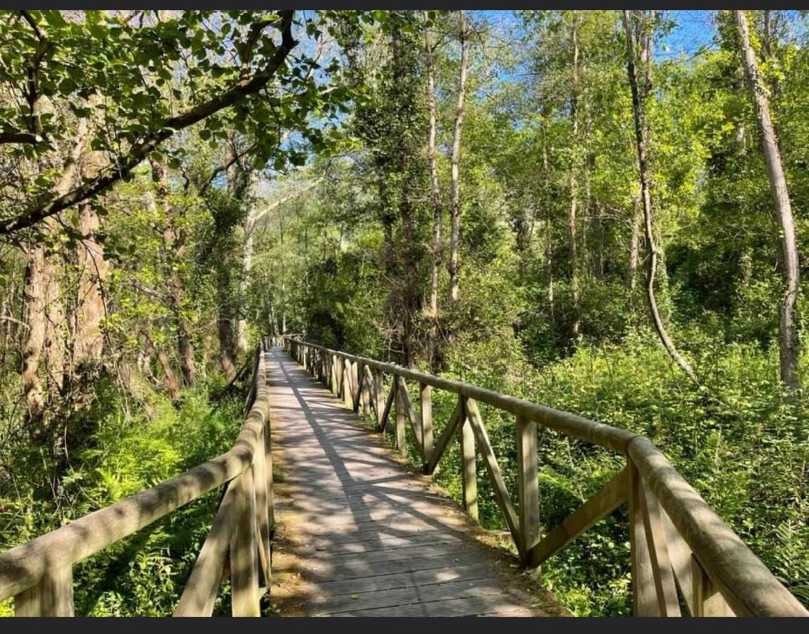 Appartamento Elrosal2 Cudillero Esterno foto